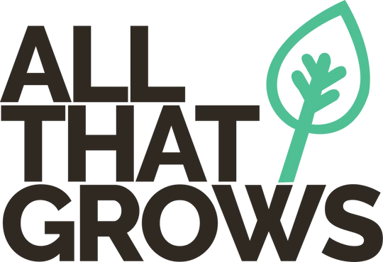 GMAV Tech – Innovative IT Solutions, Digital Transformation, and Technology Consulting Company